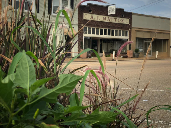 Historic Fulton